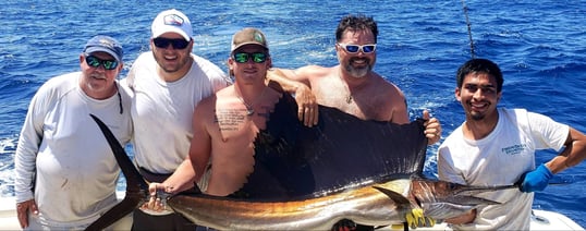 Sailfish fishing Galveston