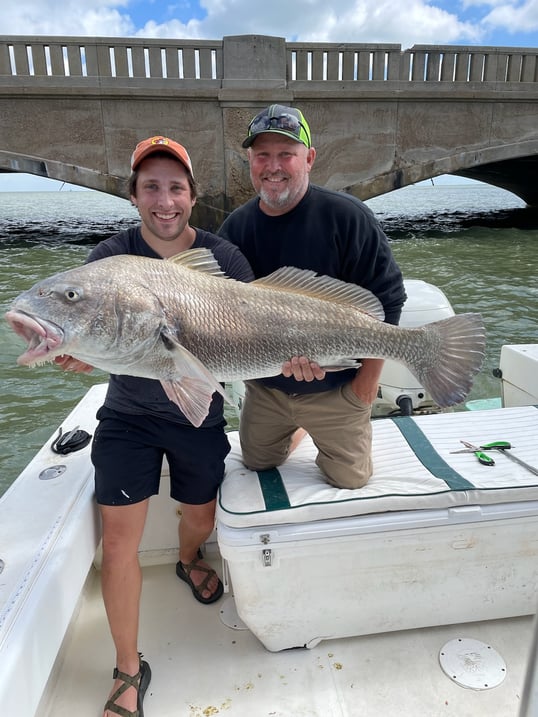 Black drum fishing in Galveston