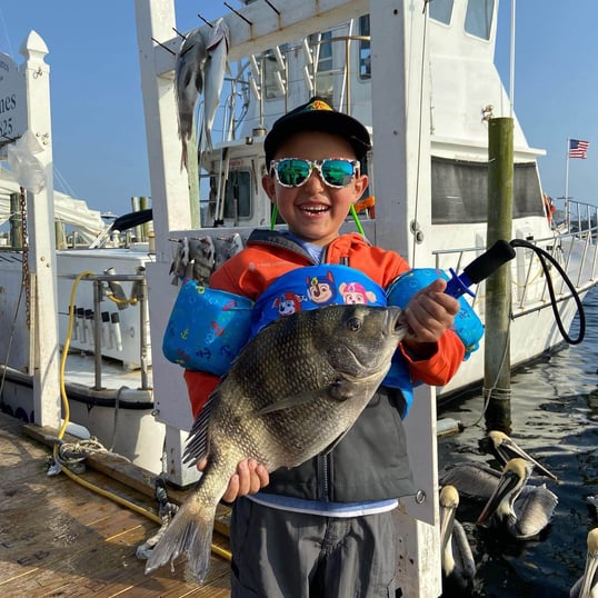 Destin Sheepshead