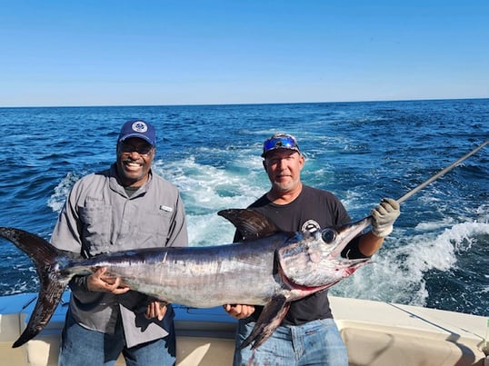 virginia beach swordfish