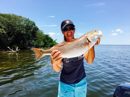 Inshore Fishing In Tampa Bay