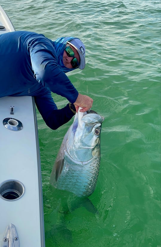 Tarpon Fishing In Tampa Florida