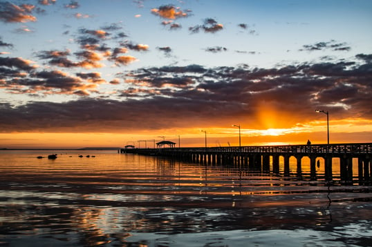 Ballast Point Pier in Tampa