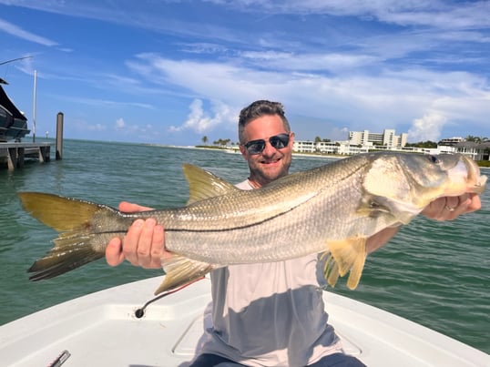 Inshore fishing in sarasota