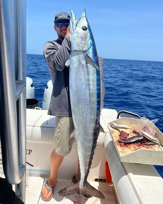 Wahoo fishing in Sarasota Florida