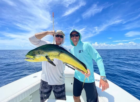 mahi mahi in florida