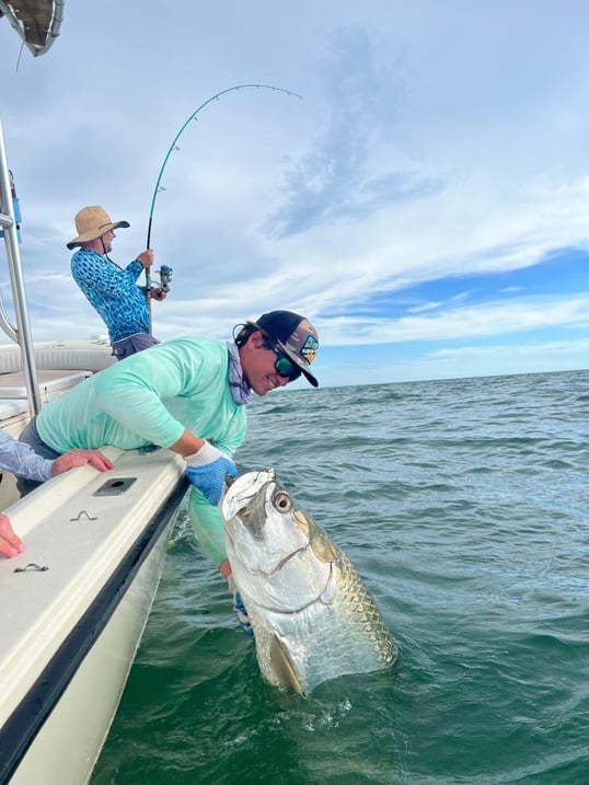 Tarpon fishing in Sarasota, Florida