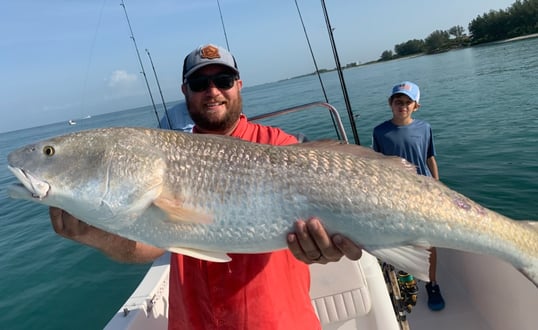 Giant redfish in Sarasota