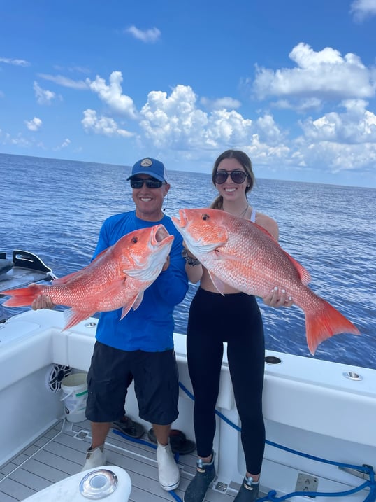 Red Snapper Sarasota Florida