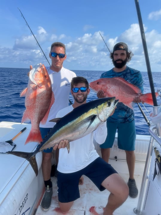 Tuna and snapper in Sarasota