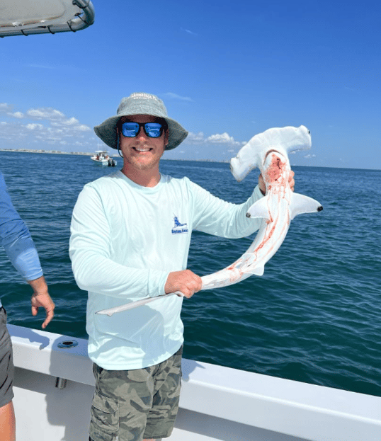 Daytona Beach Hammerhead Shark