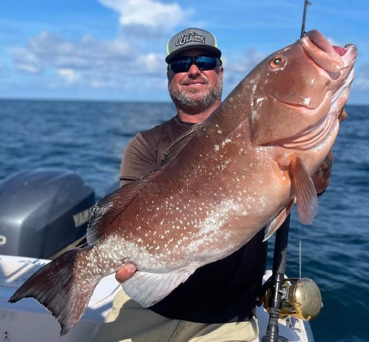 red grouper in Florida