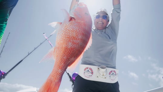 Sarasota Snapper