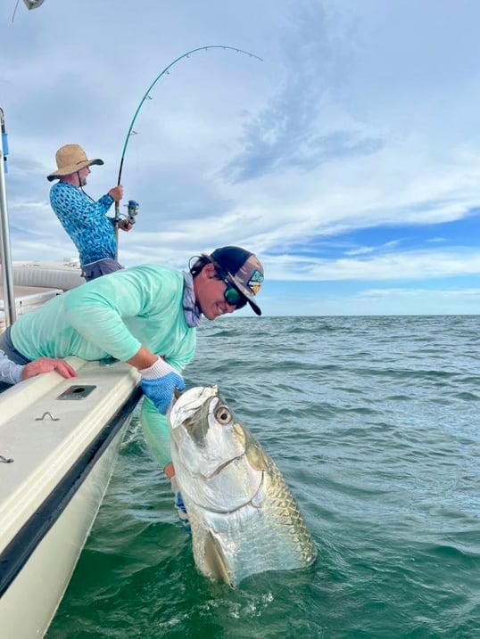 Tarpon near boat