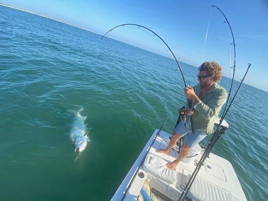 bent rod tarpon