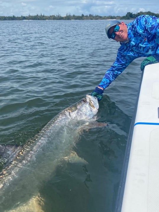 big ole tarpon