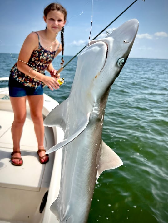 Kid friendly shark fishing