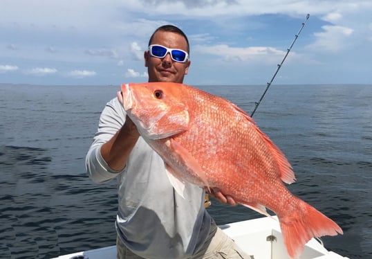 Red snapper pensacola