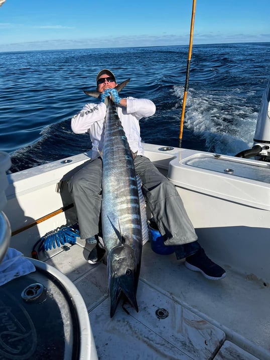 Massive Wahoo