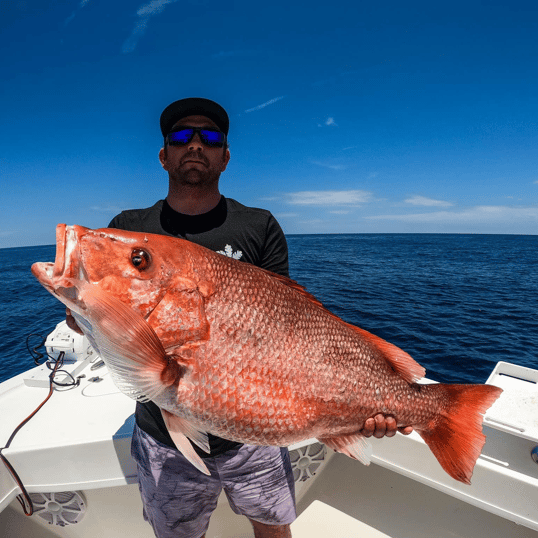 Red Snapper