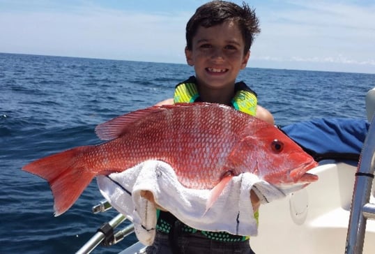 Nice Red Snapper