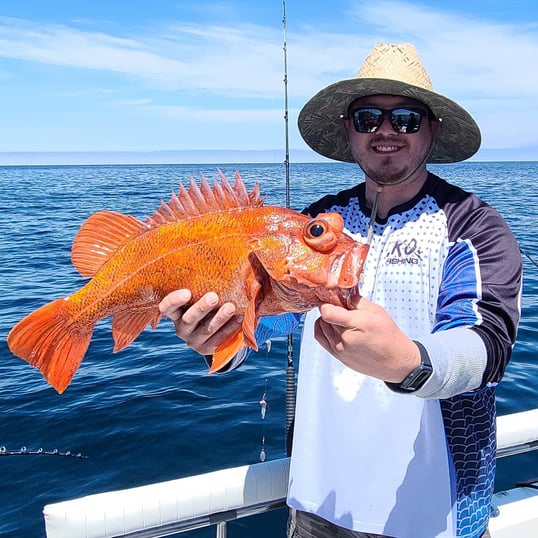 Rockfish Caught In San Diego