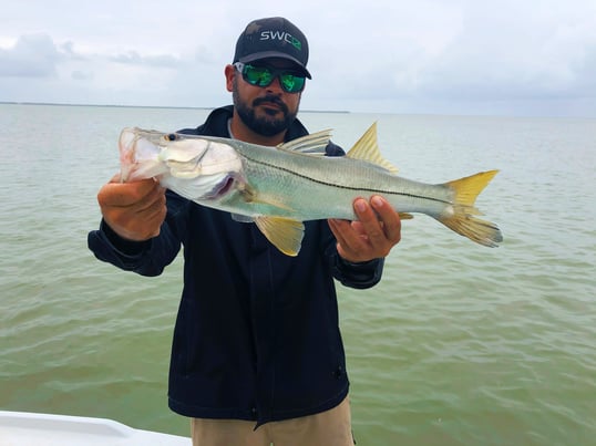 florida keys fishing report