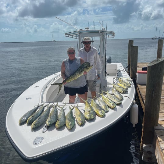 key largo fishing seasons and catching mahi mahi