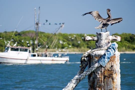 Fishing Boat On Texas Coast