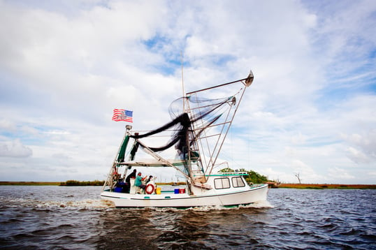 Fishing Boat In Louisiana