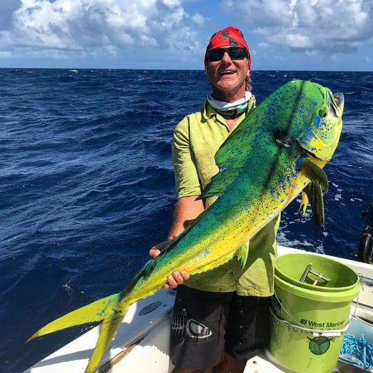 nice mahi mahi