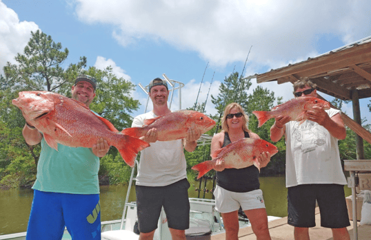 red snapper gulf shores