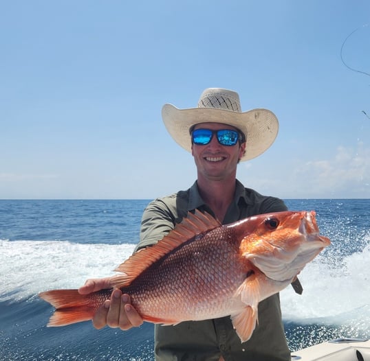 gulf shores snapper