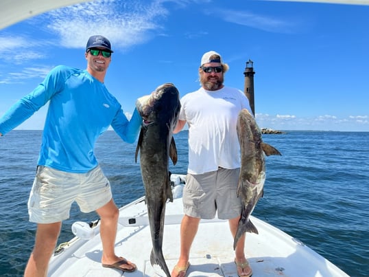 Cobia Caught In Orange Beach AL