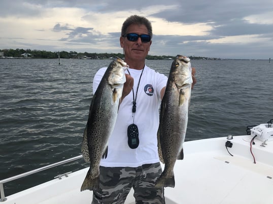 Speckled Trout Caught Near Orange Beach