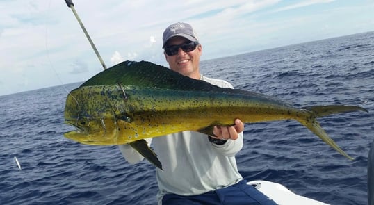 Mahi-Mahi Caught Near Orange Beach