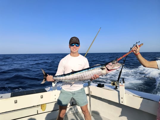 nice wahoo