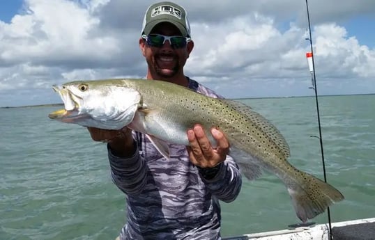 Speckled Trout Caught Near Port Isabel
