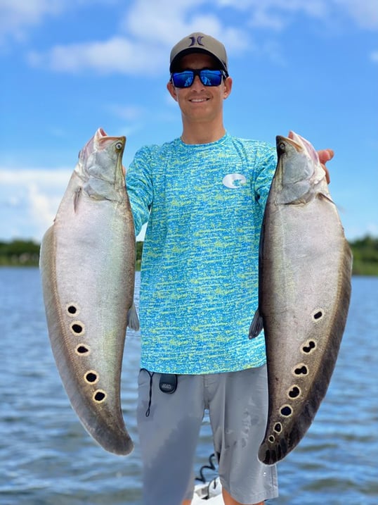 Two Invasive Clown Knifefish Caught In Florida
