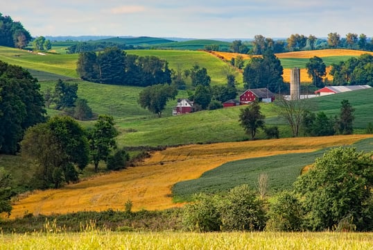 Farm Field In Ohio
