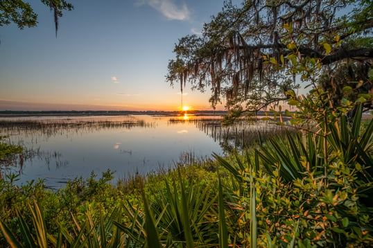 Pond on farm in South Carolina