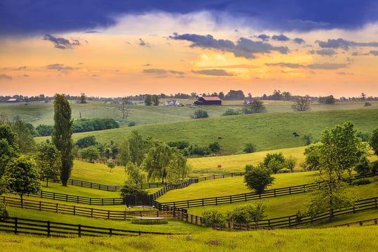 Farm field in Kentucy