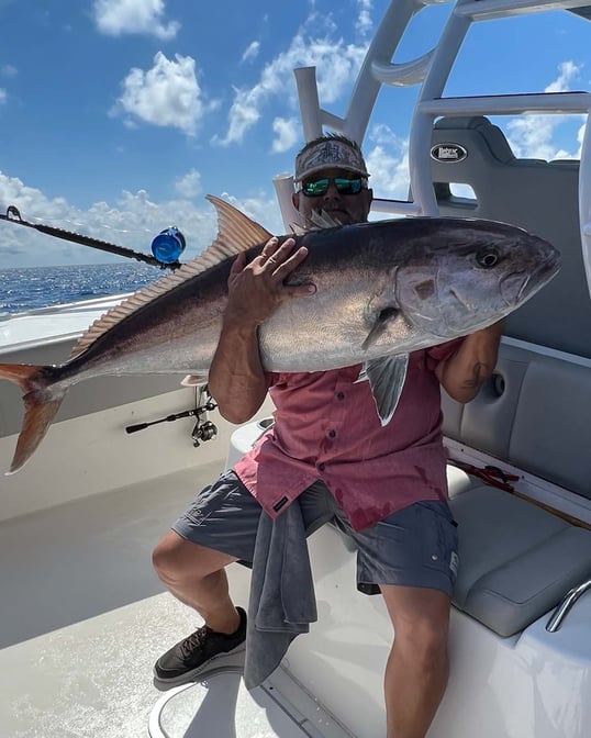 Greater Amberjack caught near Freeport, TX