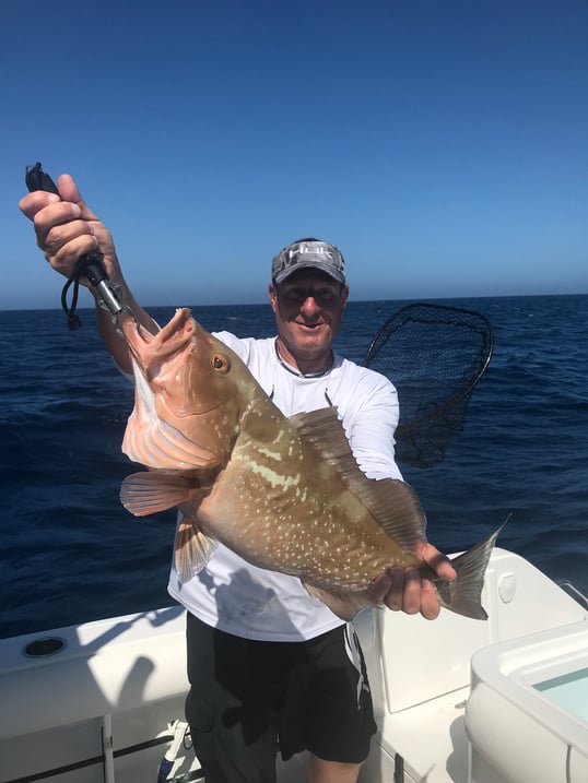 Red Grouper caught in the Gulf of Mexico
