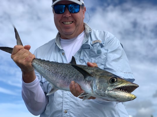 Spanish mackerel caught in the Gulf of Mexico