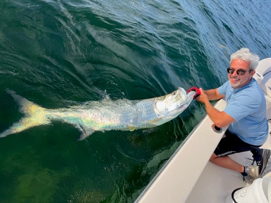 Tarpon caught in the Gulf of Mexico
