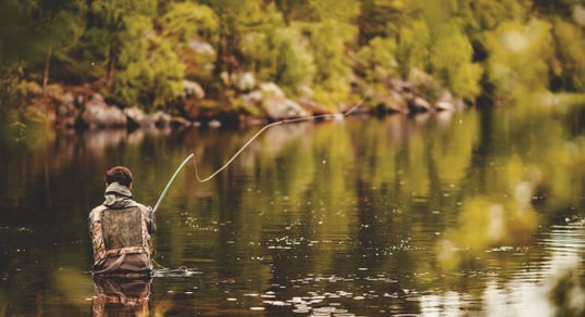 Fly Fishing With Cicadas