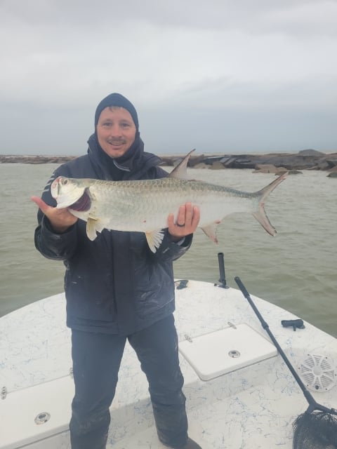 Tarpon Caught Near Rockport, Texas
