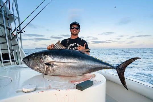 point loma fishing charters