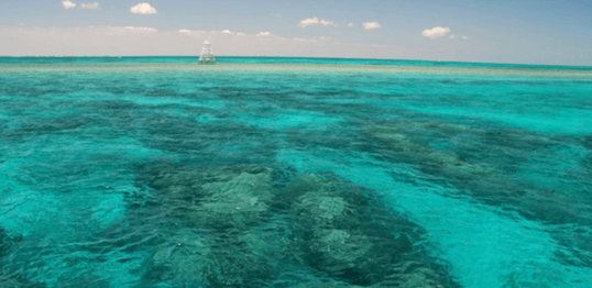 Reefs In Florida